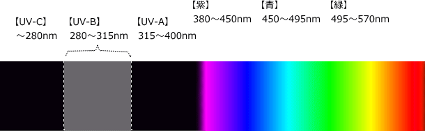 UV-Bの波長